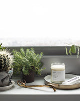 Fern + Moss Minimalist Candle Minimalist Brooklyn Candle Studio